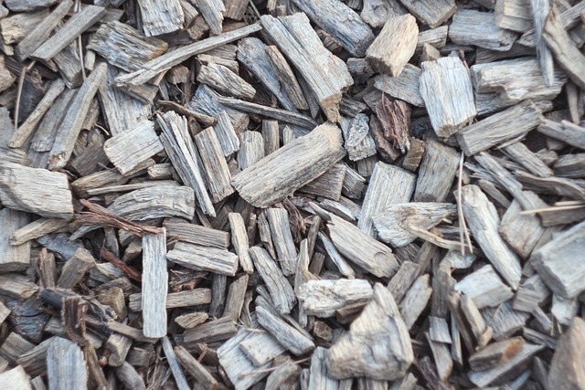 wood-chips-for mulch